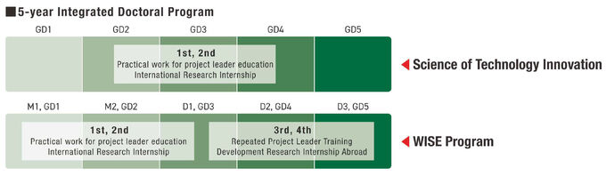 Schedule image of the 5-year integrated doctoral course