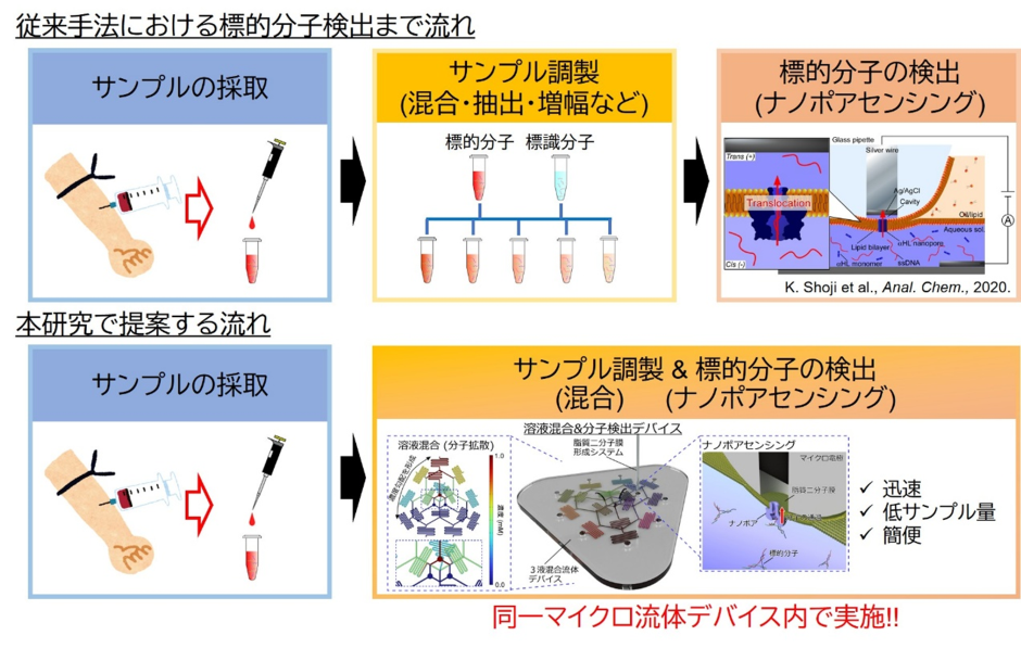 従来手法における標的分子検出までの流れと本研究で提案する流れ