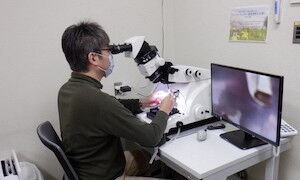 現地利用の様子2