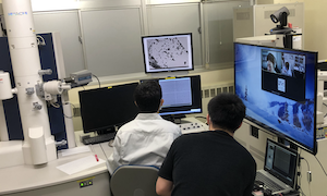 半遠隔利用の様子