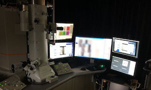 半遠隔利用の様子