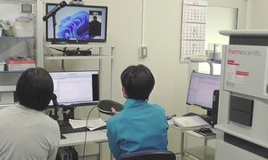 半遠隔利用の様子