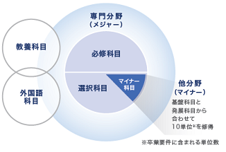 メジャーマイナーコースの分野を示した図